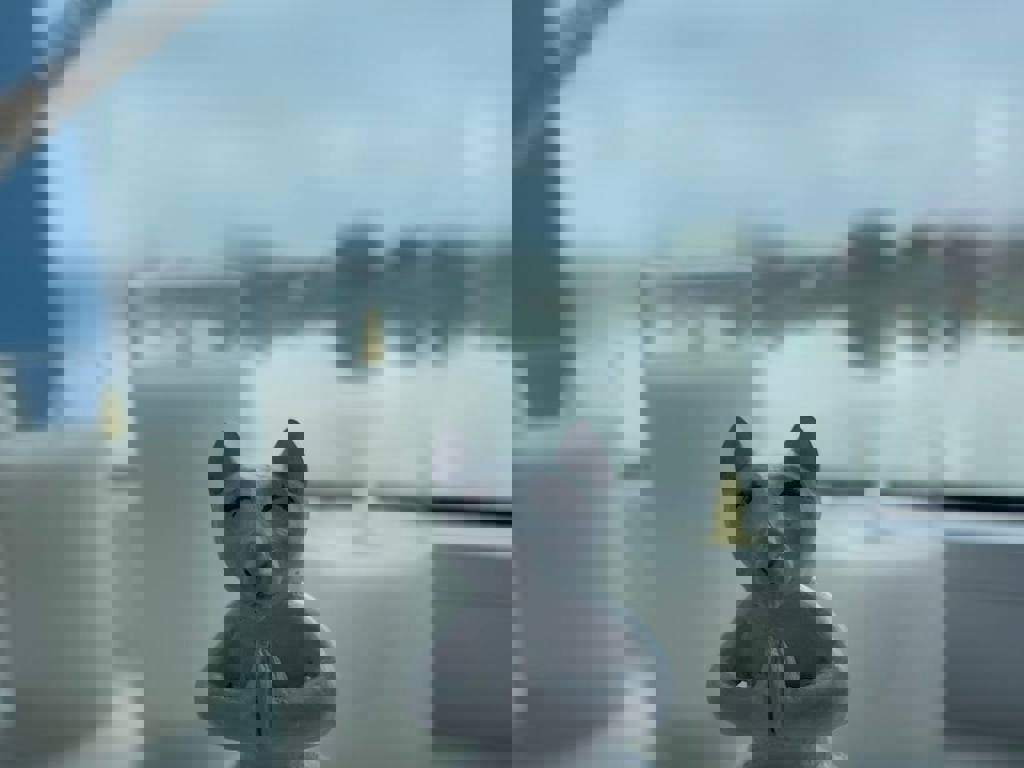 Photo 2023 12 01 16 25 58 (2)